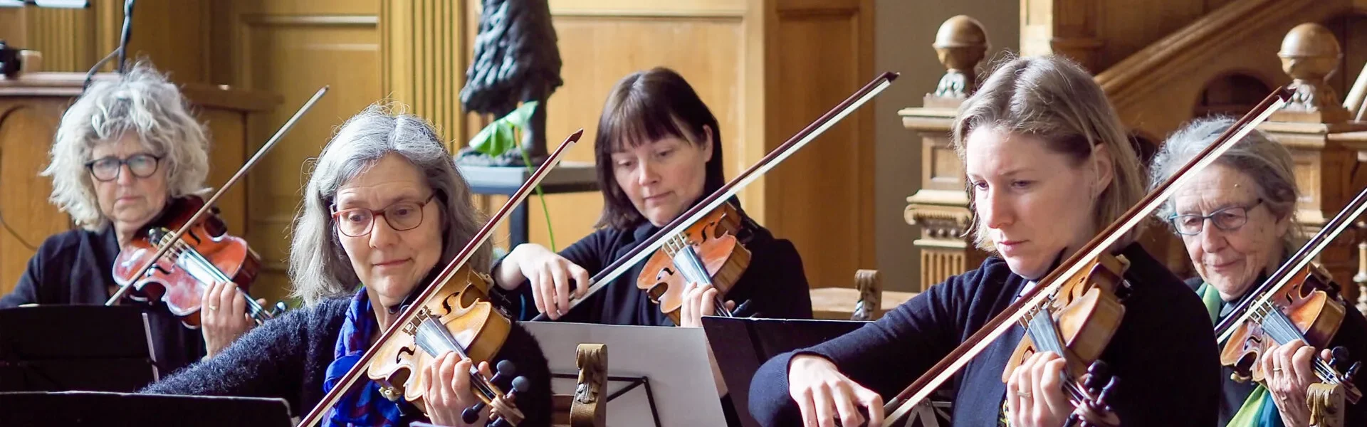 violisten_deventerkamerorkest